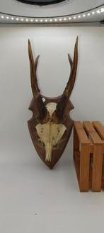 Massacre sur socle cabinet de curiosités, Enlèvement ou Envoi, Utilisé