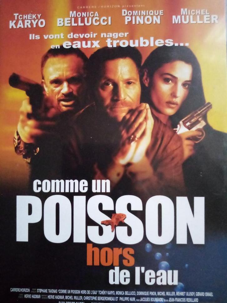 Comme un poisson hors de l'eau / DVD, Cd's en Dvd's, Dvd's | Komedie, Ophalen of Verzenden