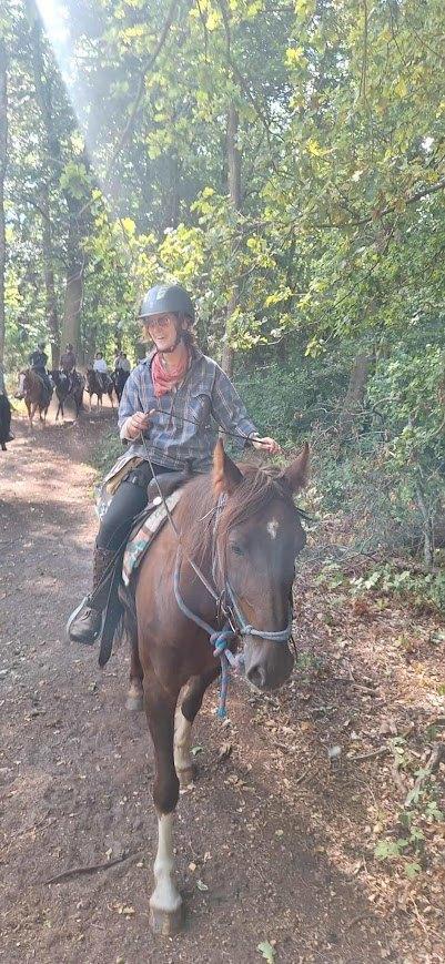 Ruiter aangeboden, Dieren en Toebehoren, Paarden