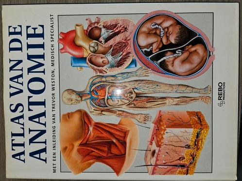 Atlas van de anatomie, Boeken, Wetenschap, Zo goed als nieuw, Ophalen