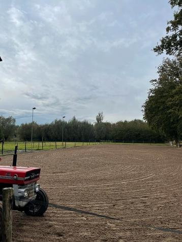 Weide met stal -  te huur