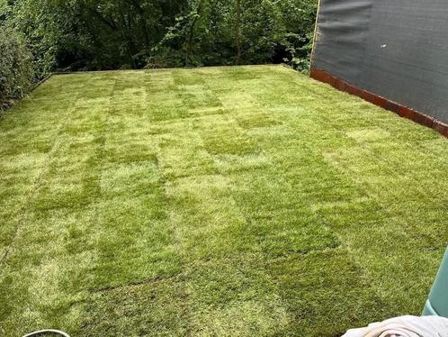 Grasrolletjes van topkwaliteit ‍, Tuin en Terras, Gras en Kunstgras, Zo goed als nieuw, Ophalen of Verzenden