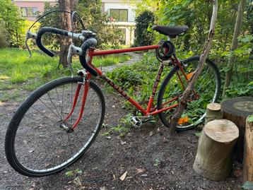 Ludo retro fiets, 55 à 59 cm, Enlèvement