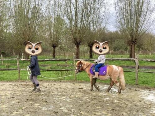 Shetlander te  koop, Dieren en Toebehoren, Pony's, Merrie, Zadelmak, A pony (tot 1.17m), Recreatiepony, 11 jaar of ouder, Gechipt