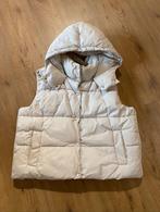 Bodywarmer Primark (maat M/L), Kleding | Dames, Bodywarmers, Maat 38/40 (M), Primark, Beige, Ophalen of Verzenden