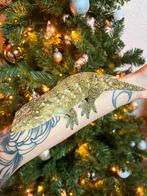 Pine Island leachianus koppel, Lézard, Domestique, 0 à 2 ans