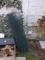 grillage a poule 6metres sur 1metre 10, Octobre, Mâle