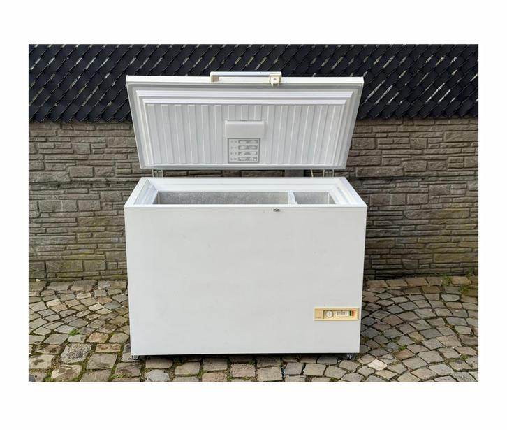 Congélateur bahut diepvries, Electroménager, Congélateurs, Utilisé, Congélateur, Congélateur, Enlèvement