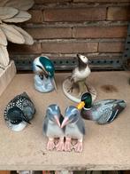 20  beeltjes met verschillende dieren, Meerdere dieren