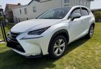 Lexus nx300h Privilege Line, Auto's, Lexus, 145 kW, 4 cilinders, Wit, Leder