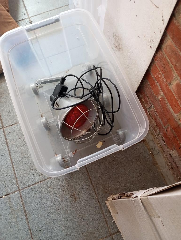 Gratis warmte lamp, Ophalen