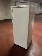 vriezer - Liebherr GN 2323, Congélateur, Classe énergétique A ou plus économe, Utilisé, 60 à 90 cm