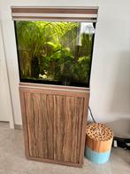 Aquatlantis aquarium 120L met filter en inhoud, Ophalen, Gebruikt