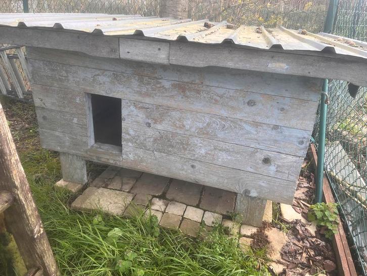 Grande niche pour chien à double paroi, Animaux & Accessoires, Maisons pour chiens, Utilisé, Niche à chien, 100 cm ou plus, 110 cm ou plus