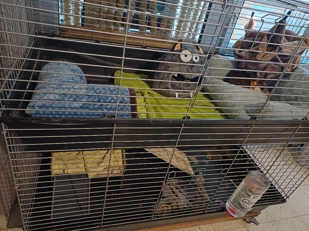 Cavia/konijnen spullen, Dieren en Toebehoren, Ophalen, Gebruikt, Kooi, Konijn