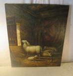 Œuvre magnifiquement peinte « Moutons et agneaux » - 60x50, Enlèvement ou Envoi