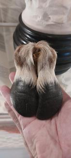 brocante sabot de renne, Enlèvement ou Envoi