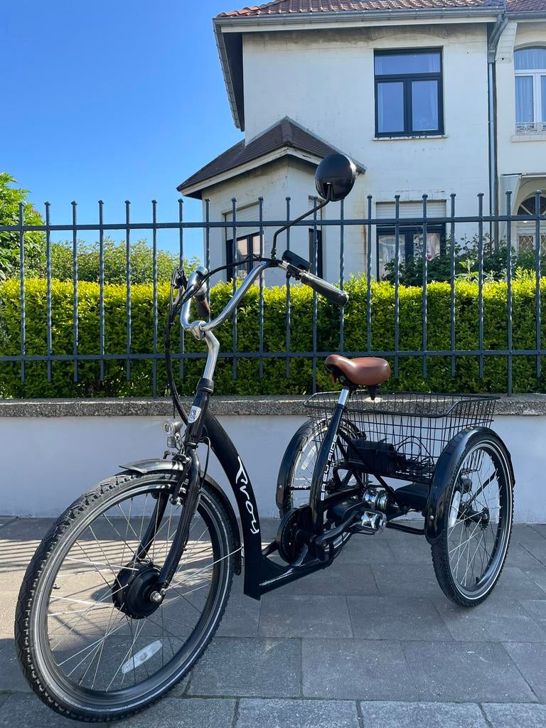 Easy Rider Proxy elektrische driewieler, nieuwstaat, Ophalen of Verzenden, Zo goed als nieuw