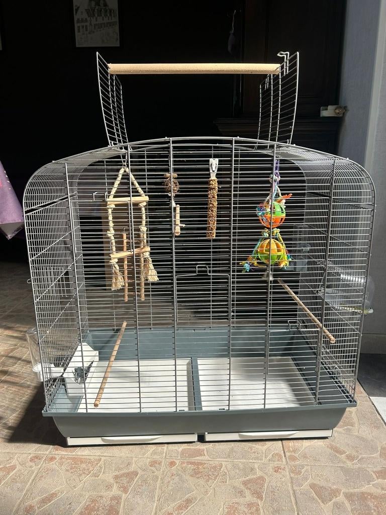 Vogelkooi, Ophalen, Zo goed als nieuw, Metaal, Vogelkooi