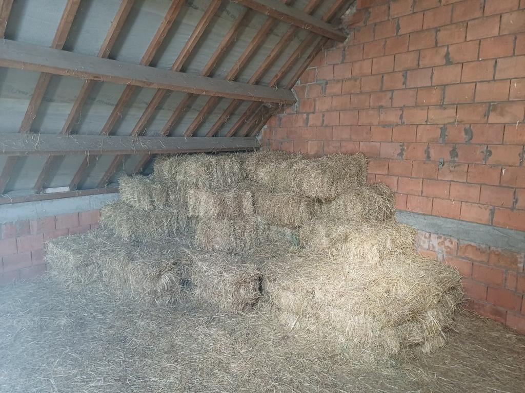 Kleine balen hooi, 2025