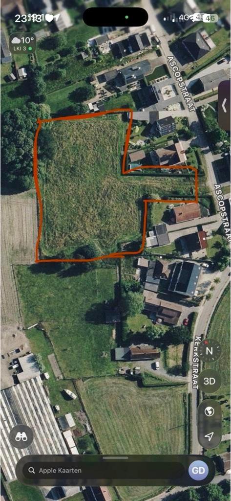 Nog 1 plekje vrij voor vol pension paardje, Enlèvement