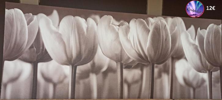 Schilderij - Tulpen veld, Antiek en Kunst, Kunst | Schilderijen | Klassiek, Ophalen