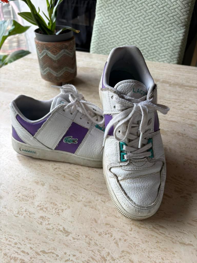 Basket lacoste, Enlèvement ou Envoi, Porté