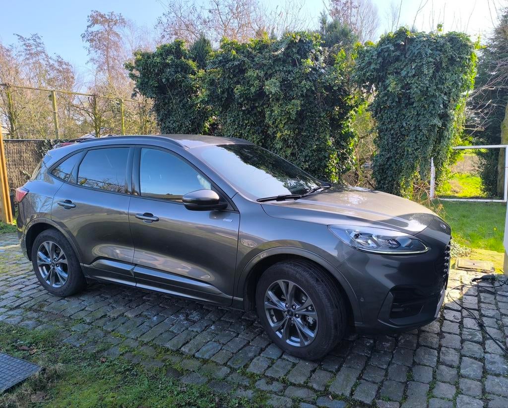 Ford Kuga Hybride, Auto's, Euro 6, Alcantara, Bedrijf, Hybride Elektrisch/Benzine