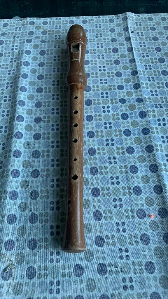 Blokfluit horner, Muziek en Instrumenten, Ophalen of Verzenden, Zo goed als nieuw