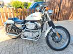 Harley-Davidson Sportster 883 - BJ 2000, Motos, Permis Moto A, Plus de 35 kW, 2 cylindres, Particulier