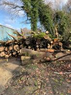 Brandhout, Tuin en Terras, Brandhout, 6 m³ of meer, Ophalen