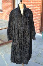 Astrakan jas in grote maten, Kleding | Dames, Ophalen of Verzenden