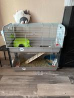 Konijne kooi, Dieren en Toebehoren, Ophalen, Zo goed als nieuw, Kooi