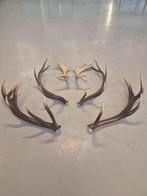 Hertengewei, Ophalen