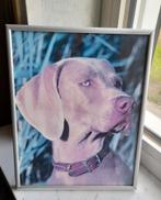 Kader Weimaraner, Ophalen of Verzenden, Zo goed als nieuw