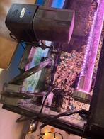 Aquarium, Ophalen, Gebruikt, Gevuld zoetwateraquarium