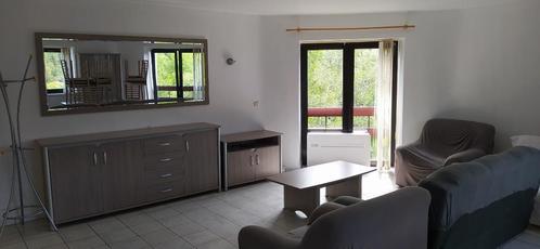 APPART A LOUER 600 € Grand Haleux Vielsalm 1 CH, Immo, Appartementen en Studio's te huur, Provincie Luxemburg, 50 m² of meer