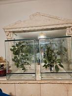 2 terrariums ( 60x 45x 45) Te koop, Dieren en Toebehoren, Ophalen