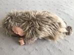 Anne Geddes pop egel, Verzamelen, Ophalen of Verzenden, Gebruikt, Pop