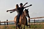 ## FANTASTISCHE & mega brave Fjord x New Forest ruin ##, Dieren en Toebehoren, Ruin, E pony (1.48m - 1.57m), Gechipt, 3 tot 6 jaar