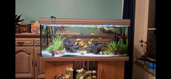 Aquarium rena 240l met toebehoren, Dieren en Toebehoren, Vissen | Aquaria en Toebehoren, Gebruikt, Leeg aquarium, Ophalen