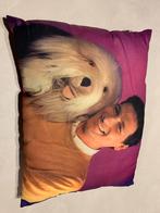 Vintage Samson & Gert kussen  30 x 40, Verzamelen, Ophalen of Verzenden, Zo goed als nieuw