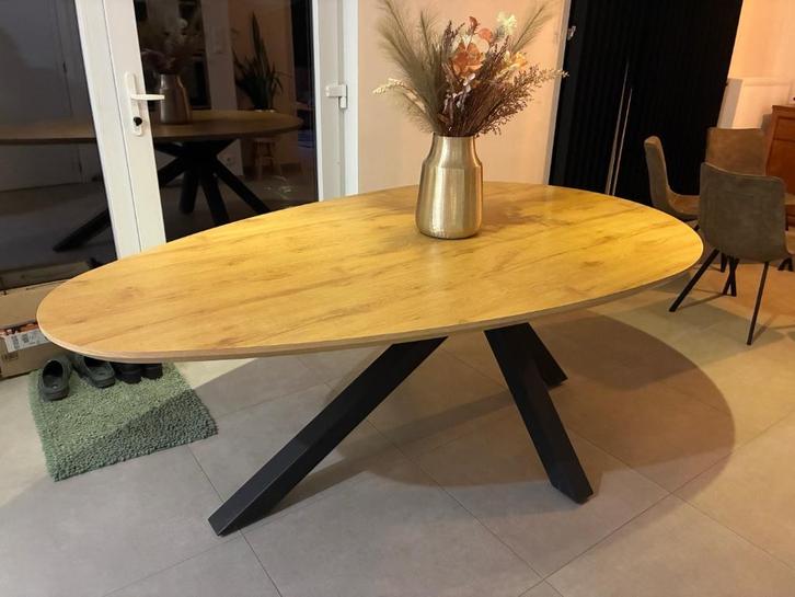 Eettafel in eivorm, Huis en Inrichting, Tafels | Eettafels, Gebruikt, 100 tot 150 cm, 200 cm of meer, Vijf personen of meer, Overige vormen