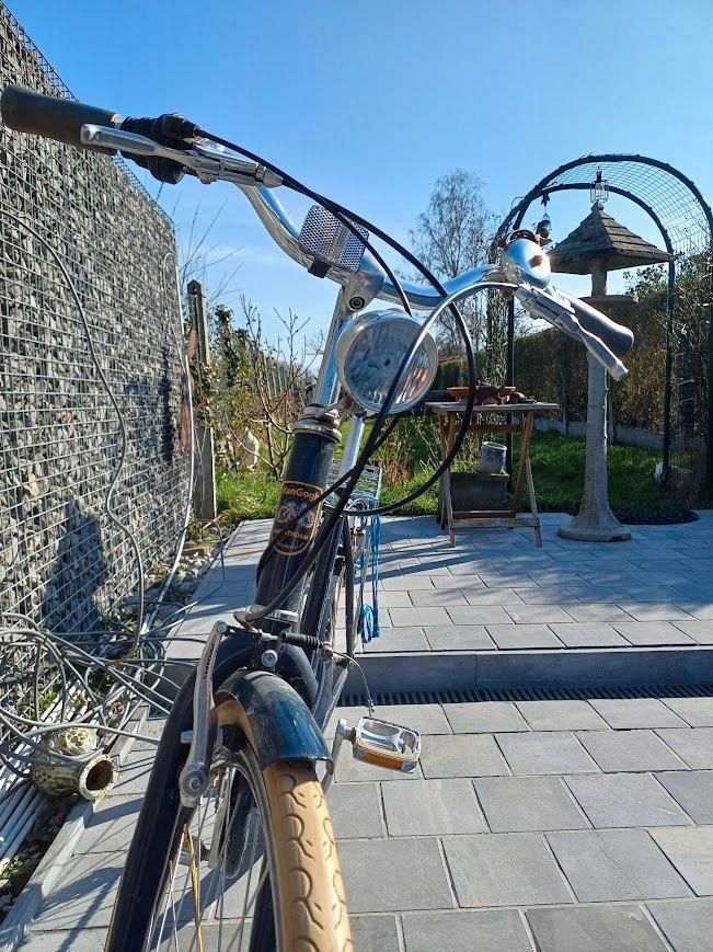Herenfiets Van Gogh, Fietsen en Brommers, Fietsen | Heren | Herenfietsen, Gebruikt, Overige merken, Versnellingen, Ophalen