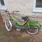 Flandria penny, Autres marques, 0 vitesses, 49 cm³, Classe B (45 km/h)