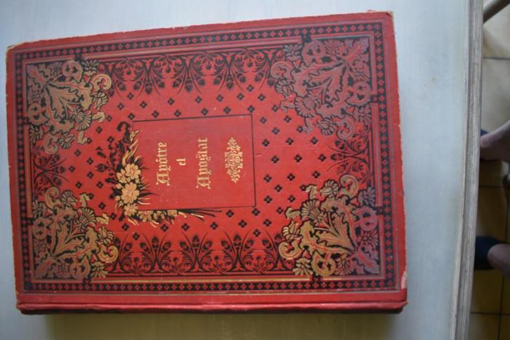 Apôtre et apostat Vie de: Félicité de la Mennais Jean de Sai, Antiek en Kunst, Antiek | Boeken en Manuscripten, Verzenden