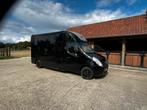 STX Dub.Cab. 50 000km!! Paardencamionette, Dieren en Toebehoren, Ophalen