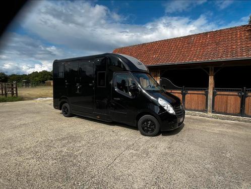 STX Dub.Cab. 50 000km!! Paardencamionette, Dieren en Toebehoren, Paarden en Pony's | Trailers en Aanhangwagens, Ophalen