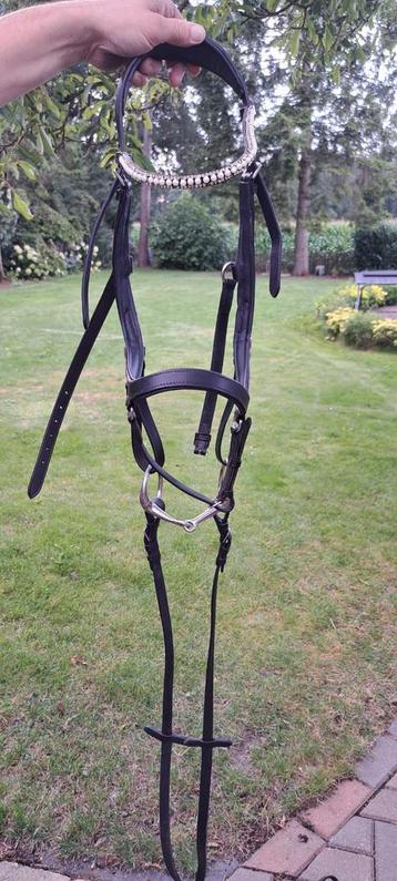 Hoofdstel met mooie details beschikbaar voor biedingen