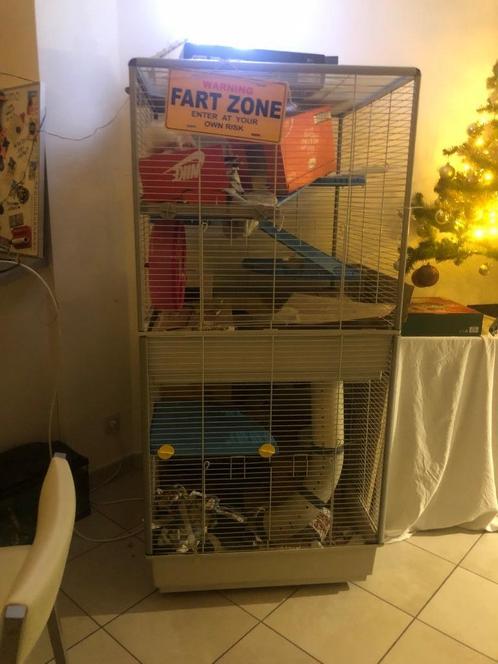 Ferplast ratten-/frettenkooi, Dieren en Toebehoren, Knaagdieren en Konijnen | Hokken en Kooien, Gebruikt, Kooi, 90 cm of meer